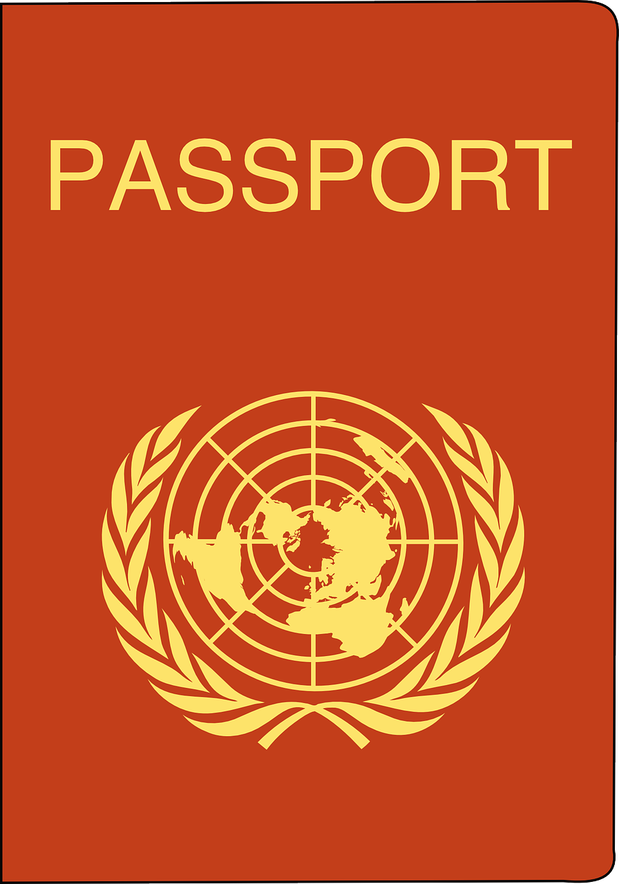 澳门新彩，探索最新开奖记录的奇妙之旅