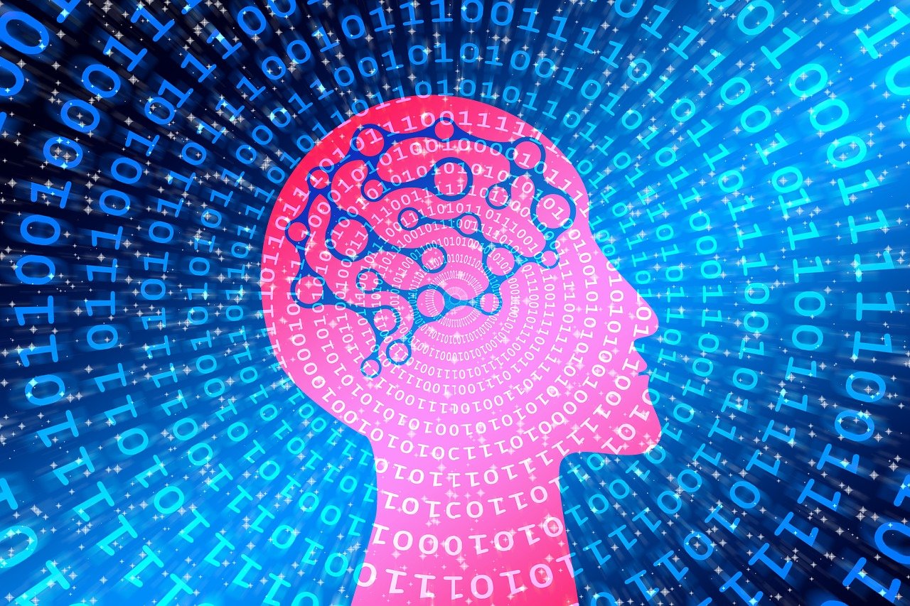 探索数字时代的视觉盛宴，图库论坛的无限魅力