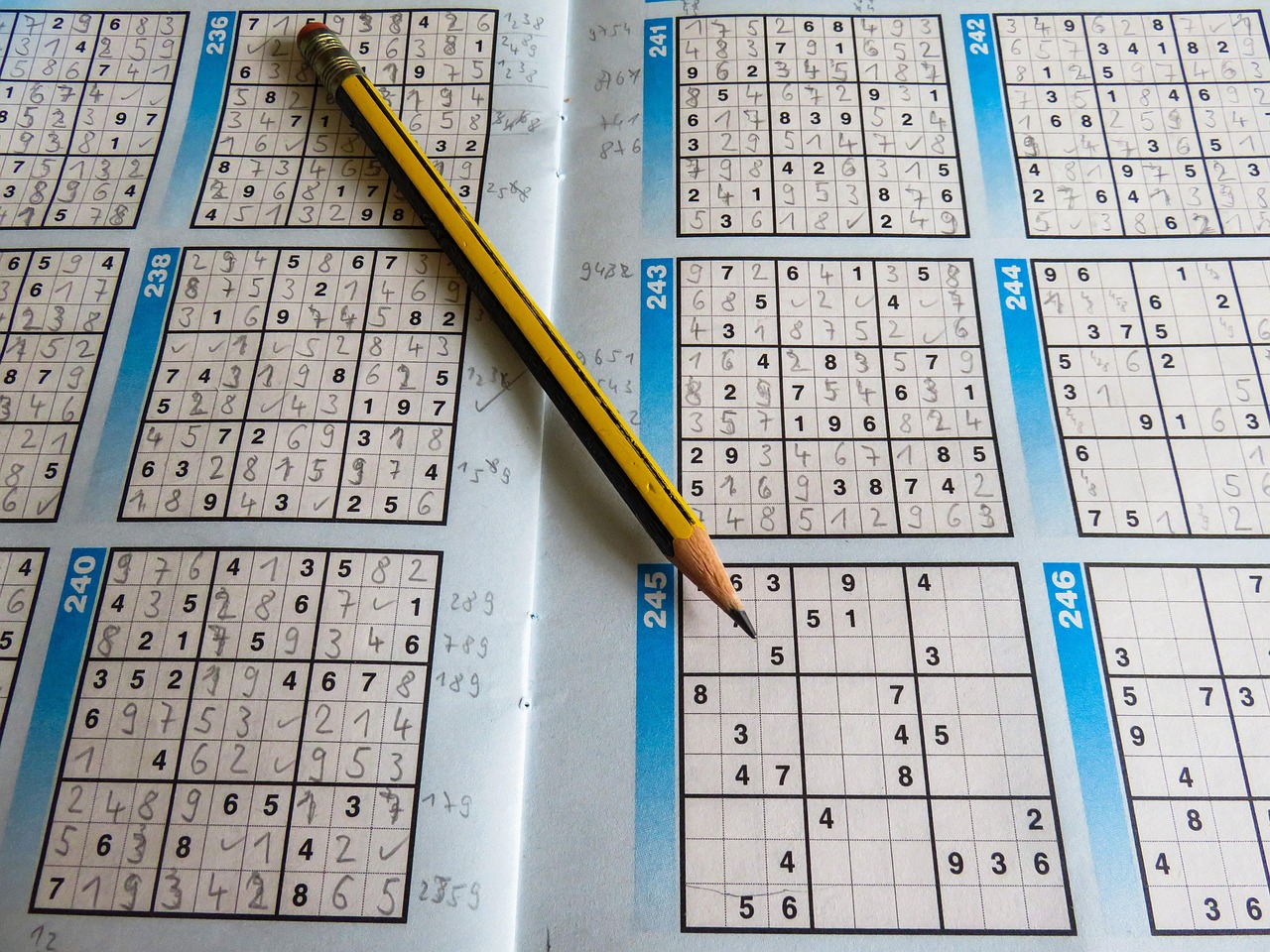 今日何首乌双色球字谜，解密数字背后的文化与智慧